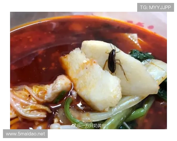 卢玉菲训练完顺手买了个包，我还在纠结外卖满减