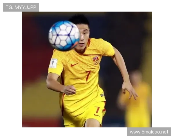 张琳芃家的狗吃的都比我一个月工资还贵